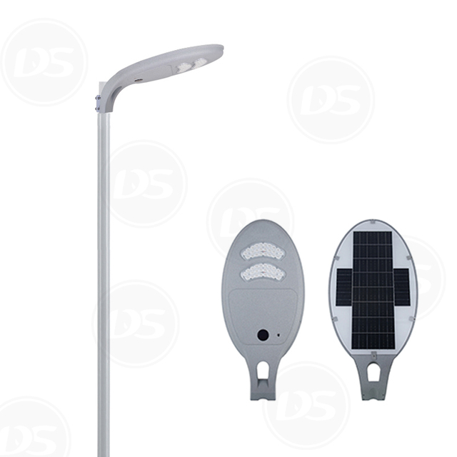 DS-AIO7 30W Outdoor All in One Solar Street Light Garden Street Lamp with PIR Sensor From China Manufacturer