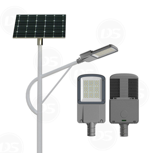 DS-AIT5 Integrated All in Two Solar LED Street Light with Pole And Battery for Road Lighting From China Factory (10W-20W-30W-40W)